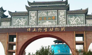 来永年佛山野生动物园，与正大制管一起 赴自然之约 寻找山野童趣